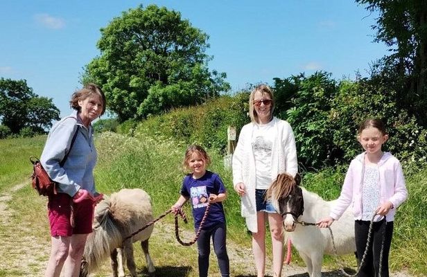 Private Miniature Horse Walking near Lincoln