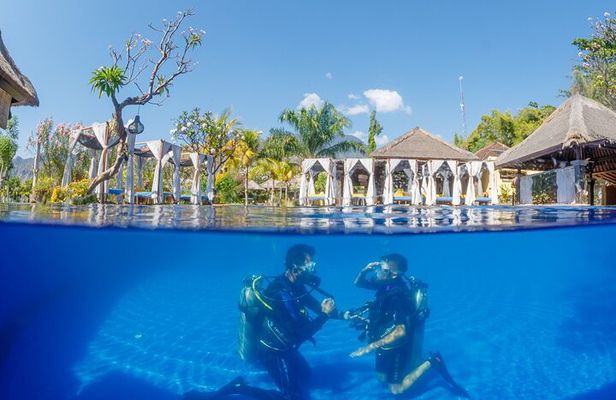 Try Dive Program in the Biorock Pemuteran