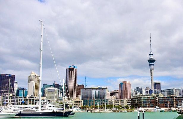 Private Auckland best Spots + Piha beach and rainforest day Tour