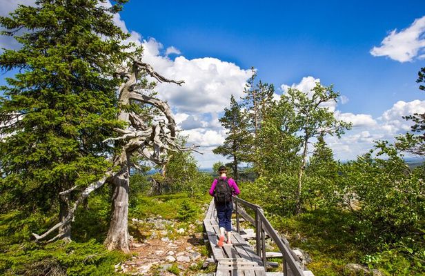 Rovaniemi: Korouoma Canyon Hike and Barbecue Experience