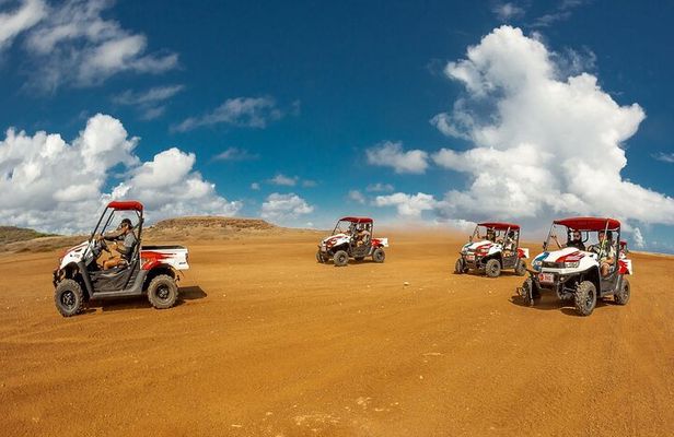2-Seater UTV Island Tour in Aruba