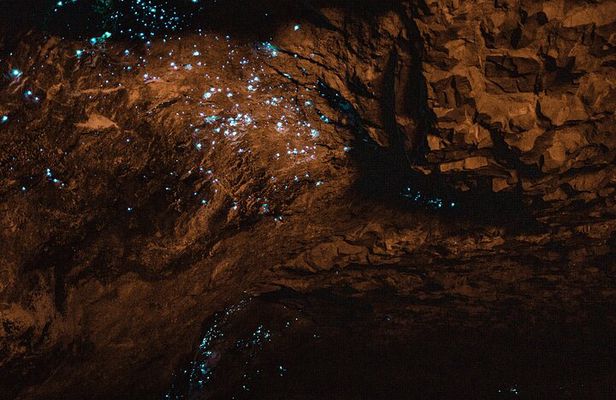 Private Hobbiton & Waitomo glowworm cave Day Trip from Auckland