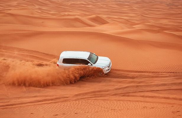 Private Morning Desert Safari with Camel Ride Falcon Photos