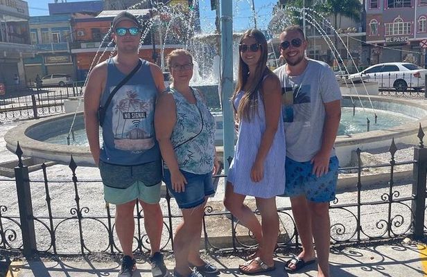 Montego Bay Highlights with Local Guide & Private Transportation