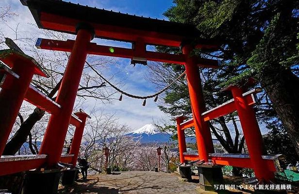 Mt. Fuji, Oishi Park & Arakurayama Pagoda Bus Tour with Lunch