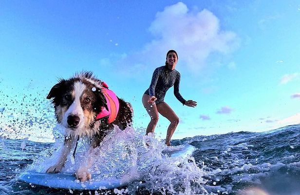 Private 1-on-1 Surf Lesson with Videos and Photos