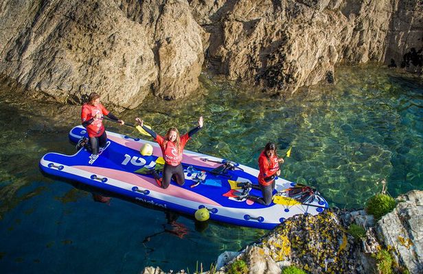 Giant Stand Up Paddle Boarding Experience in Newquay