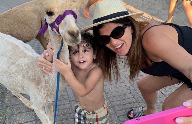 Calabrian Alpacas Sunset Beach Experiences Pizzo VV AlpacSelfies 