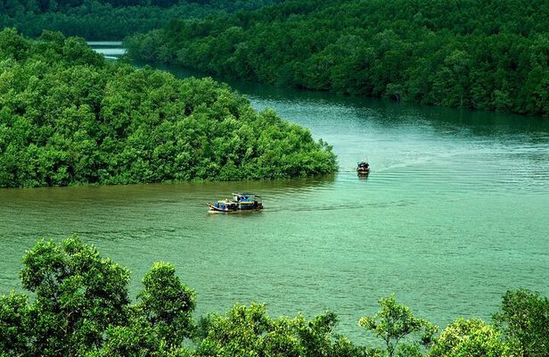 Can Gio Mangrove Forest Island Private Tour From Ho Chi Minh City