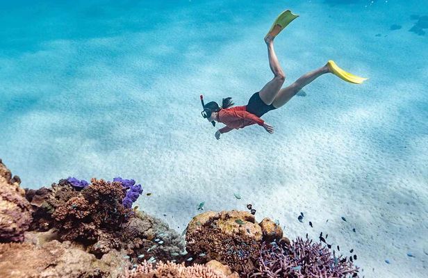 Ningaloo Reef Snorkel Adventure