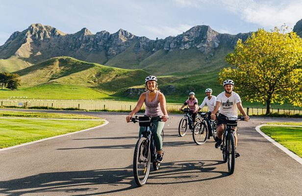 Cape Winery Cycle Tour - 6 wineries, self-guided