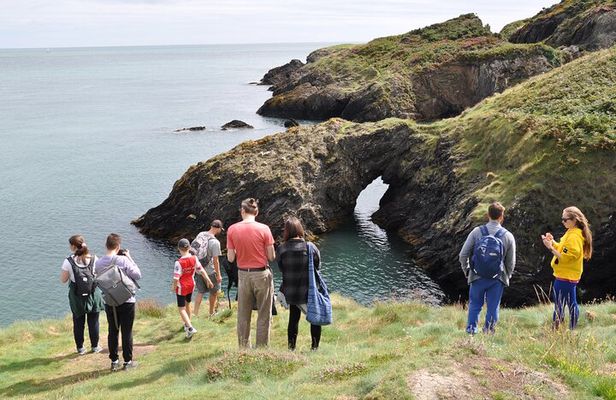 Day Tour from Dublin to Wicklow: Cliffs, Heritage, Wildlife, Gaol