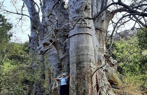 From Praia, Baobab Mysterious Tree, Green Valley & Old City Hike