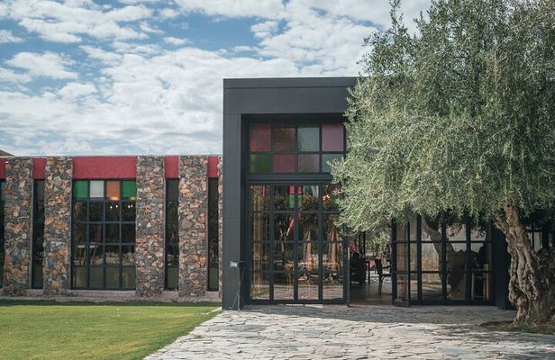 Winery The Enemy + Argentine Roast with Wine. Private transportation