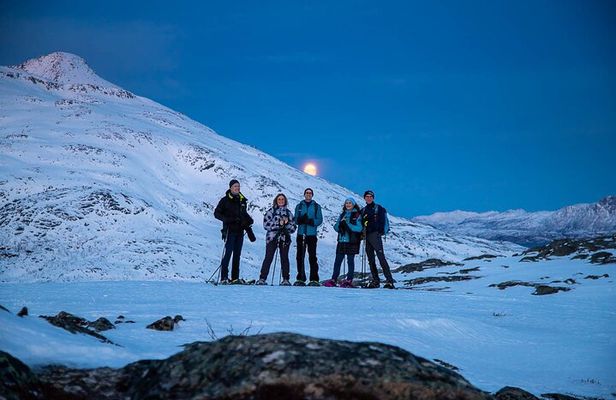 Tromsø: Arctic Landscapes Hiking / Snowshoeing Tour in the wild