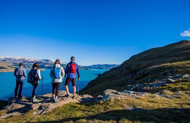 Half Day Guided Walking Tour on Banks Peninsula