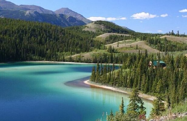 Wild Adventure Yukon Tour into Canada including City and Summit