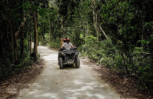 Double Atv Tour In Cozumel And Cenote Jade