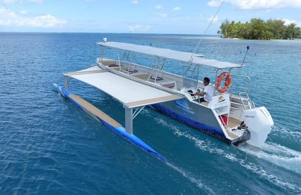 Apetahi day trip around Raiatea on a modern outrigger canoe