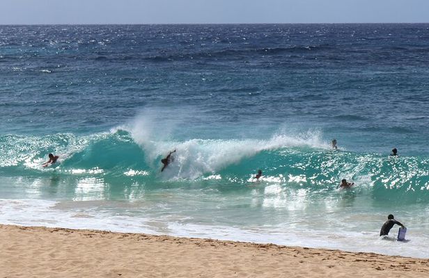 Stunning Views of Oahu! Half-Day to North shore on a Scenic Tour