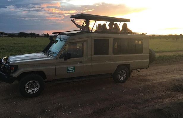 2 Days Tarangire park and Ngorongoro Crater from Zanzibar