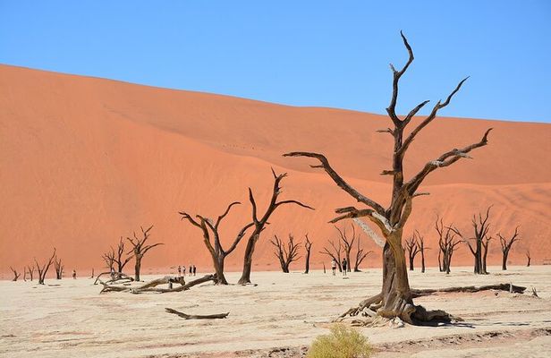 2 Days Guided Tour in Sossusvlei and Sandwich Harbor
