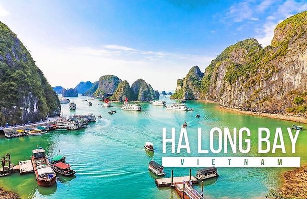 Halong Bay Standard Day Tour with Expressway Transfer from Hanoi