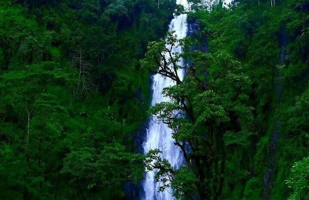 Materuni waterfall - coffee tour OR Chemka hot spring Tour