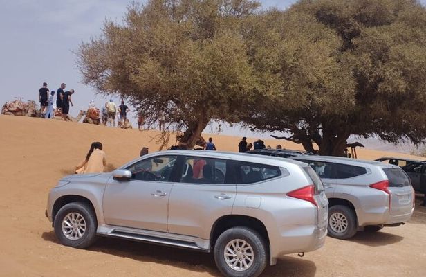 Small Sahara Private Day Tour