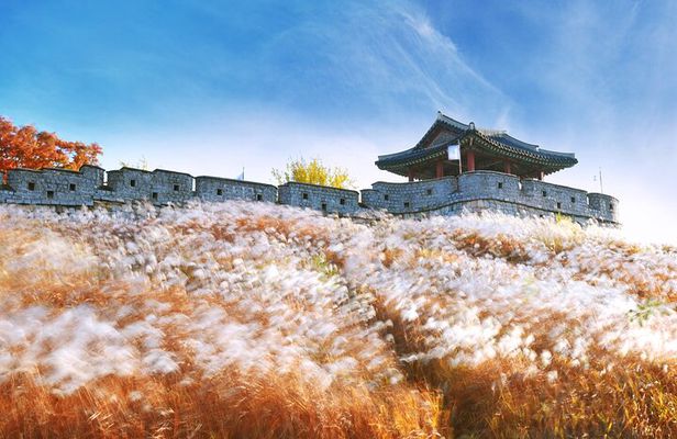 Suwon Hwaseong Fortress Tour from Seoul