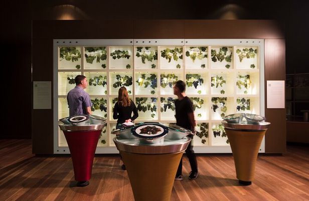 Guided Wine Journey and Discovery Tasting Tour in Adelaide