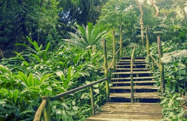 Full Day Nadi Discover Tour ( From Sigatoka Coral coast Hotels )