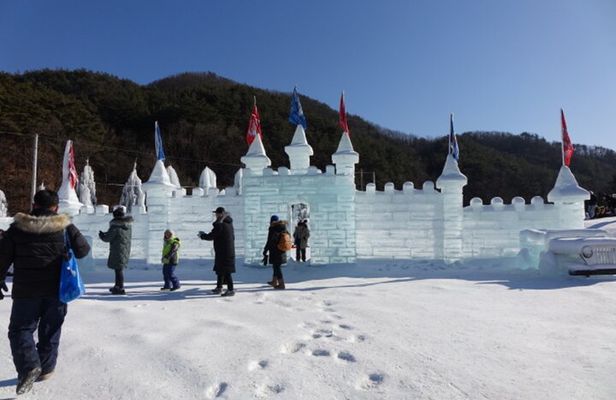 Snowyland, Strawberry Picking & Alpaca World