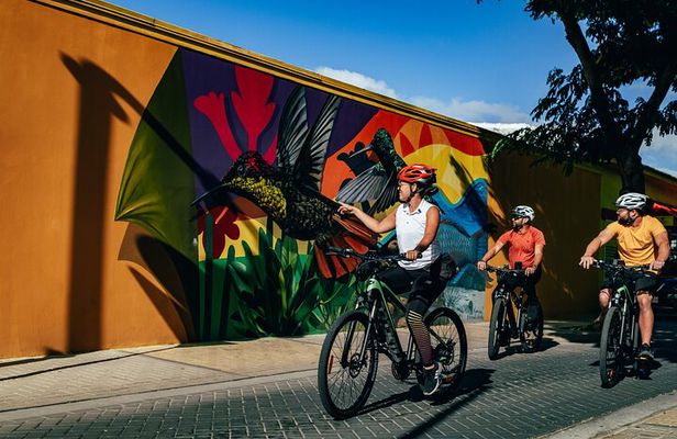 Semi-Private Road to San Nicolas Culture Heritage by E-Bike Aruba