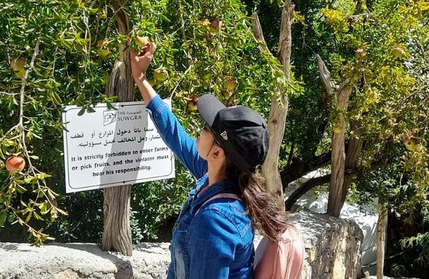 Jebel Akhdar Al Suwjara - Birkat Al Mouz Ruins - Private Full Day Tour