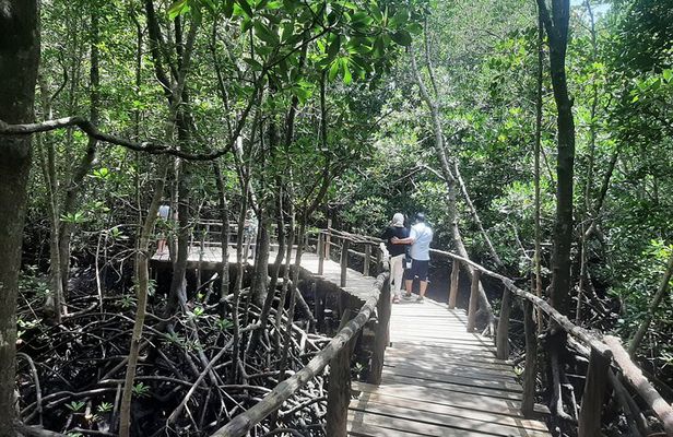 Private Spice Tour and Jozani Forest in Zanzibar