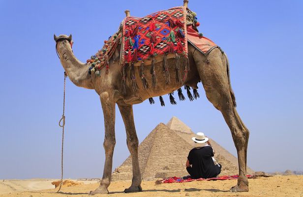 Pyramids of Giza, Sphinx and Egyptian Museum Day Tour