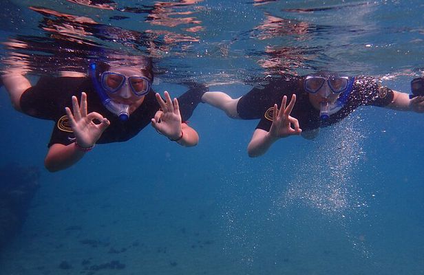 Snorkel in Lanzarote with Guide