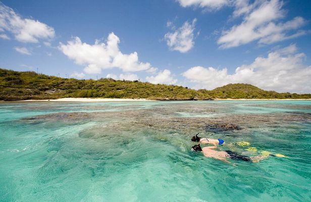 FANTASTIC Green Island and Sea Turtles - Half Day share boat trip