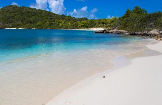 Discover Green Island and Sea Turtles - Half Day SHARE BOAT TRIP