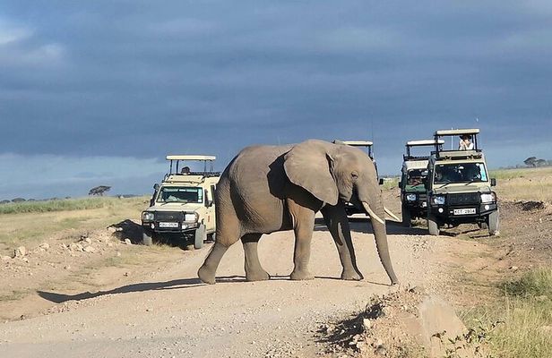 6 Days Safari Tour in Amboseli, Tsavo West and Tsavo East