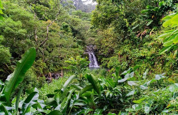 VIP Private Full-Day Road to Hana Tour from Wailea - Kihei