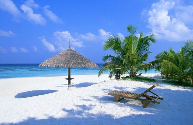 Contoy Reef & Isla Mujeres Tour! From Cancun & Playa del Carmen