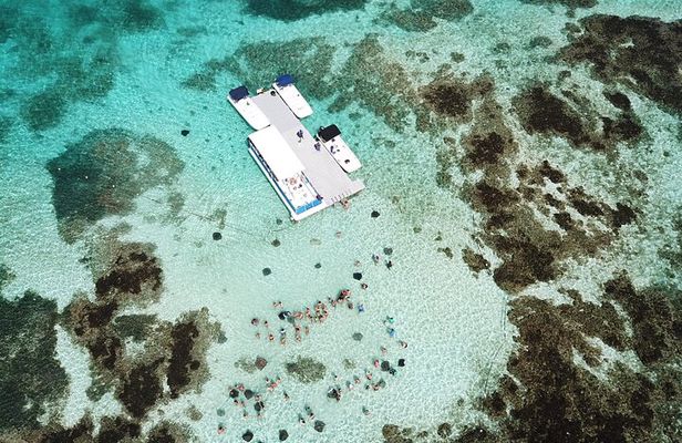 Stingray City Antigua for all the ages - ROUND TRIP INCLUDED