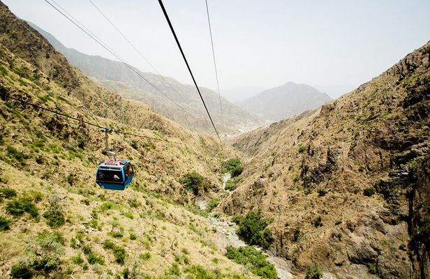 Taif Full Day Tour with Lunch From Jeddah and Makkah