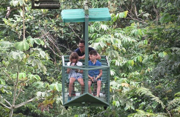 Aerial Tram & Sloth Sanctuary in the Rainforest