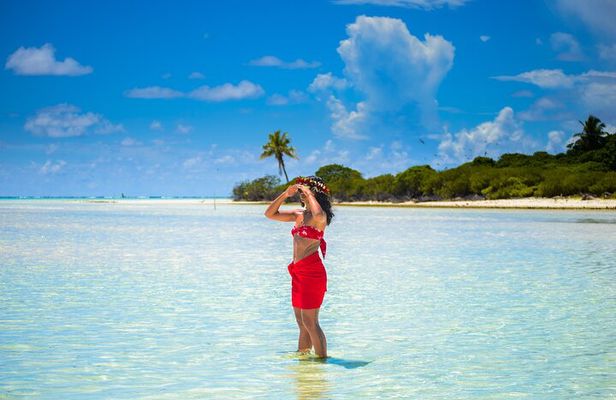Excursion to Tetiaroa by Catamaran Visit Lunch Snorkeling