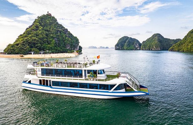 Halong Bay Luxury Cruise Day trip: Buffet lunch, limousine bus