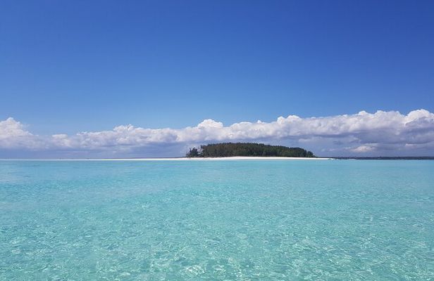 Early dolphin Tour and Snockling at mnemba and Turtle Sanctuary