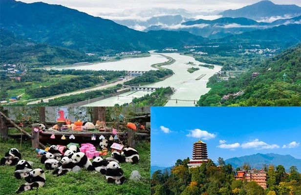 Dujiangyan irrigation+Mt. Qingcheng or Panda Park Day Tour
